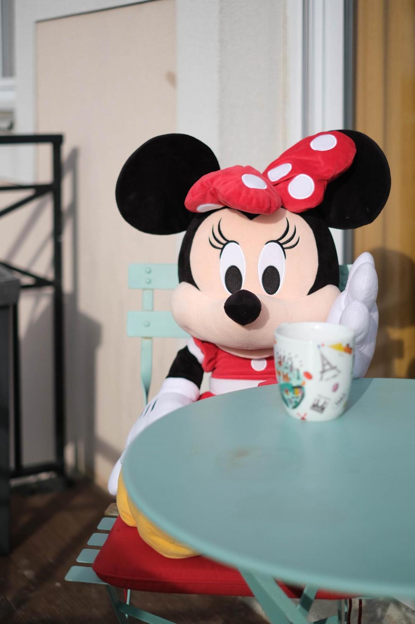 Apart' Minnie - Disneyland Paris - 3 Bedrooms - Parking Prive มานี-เลอ-องเกรอ ภายนอก รูปภาพ